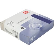 Set segmenti piston - NE-120007005400