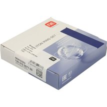 Set segmenti piston - NE-120010007100