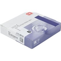 Set segmenti piston - NE-120020004300