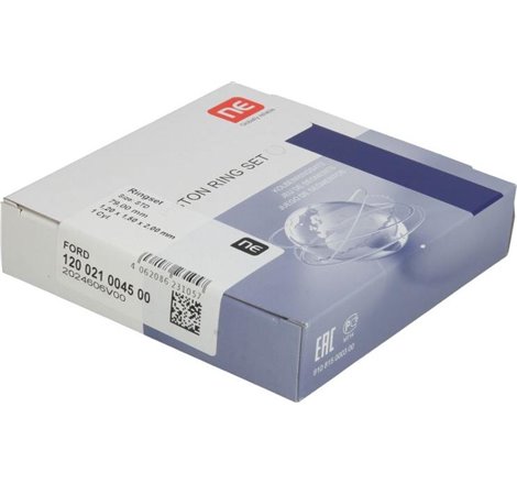 Set segmenti piston - NE-120021004500