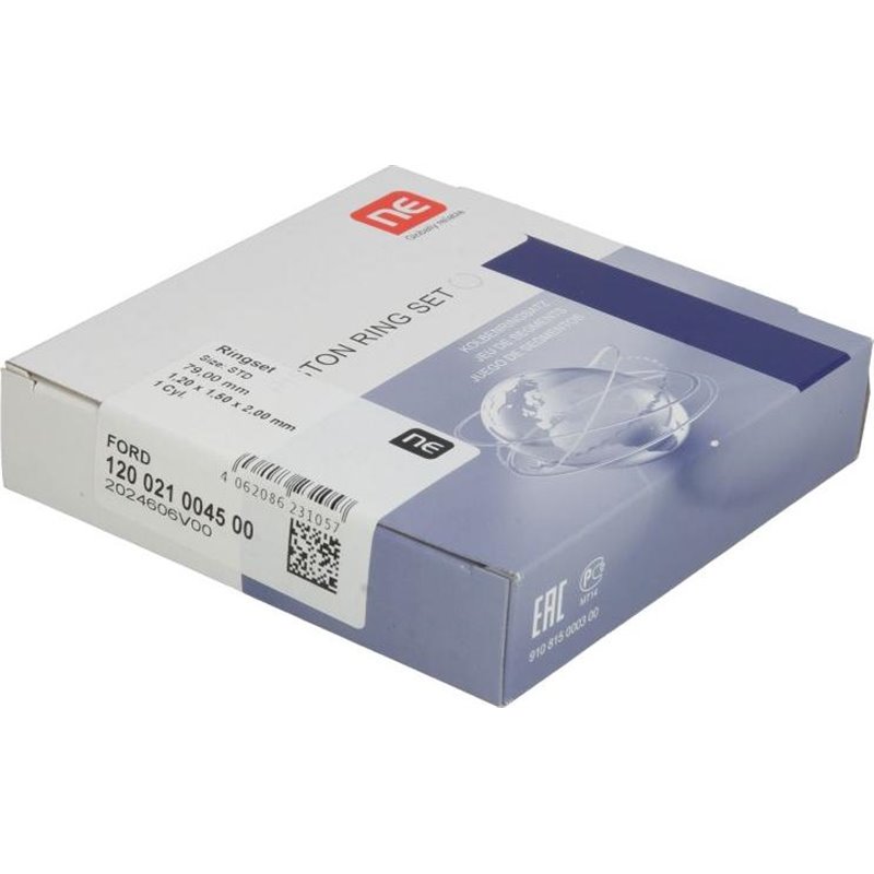 Set segmenti piston - NE-120021004500