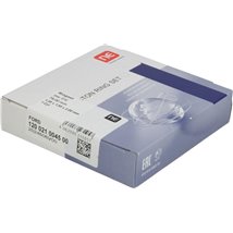 Set segmenti piston - NE-120021004500