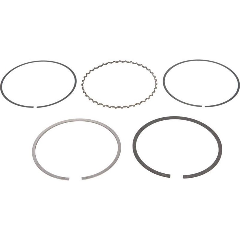 Set segmenti piston - NE-120021005800
