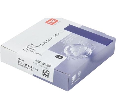 Set segmenti piston - NE-120021006900