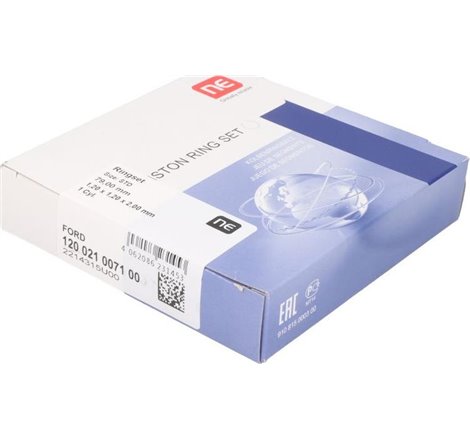 Set segmenti piston - NE-120021007100