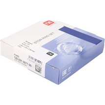 Set segmenti piston - NE-120021007100