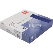 Set segmenti piston - NE-120037005100
