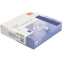 Set segmenti piston - NE-120050001200