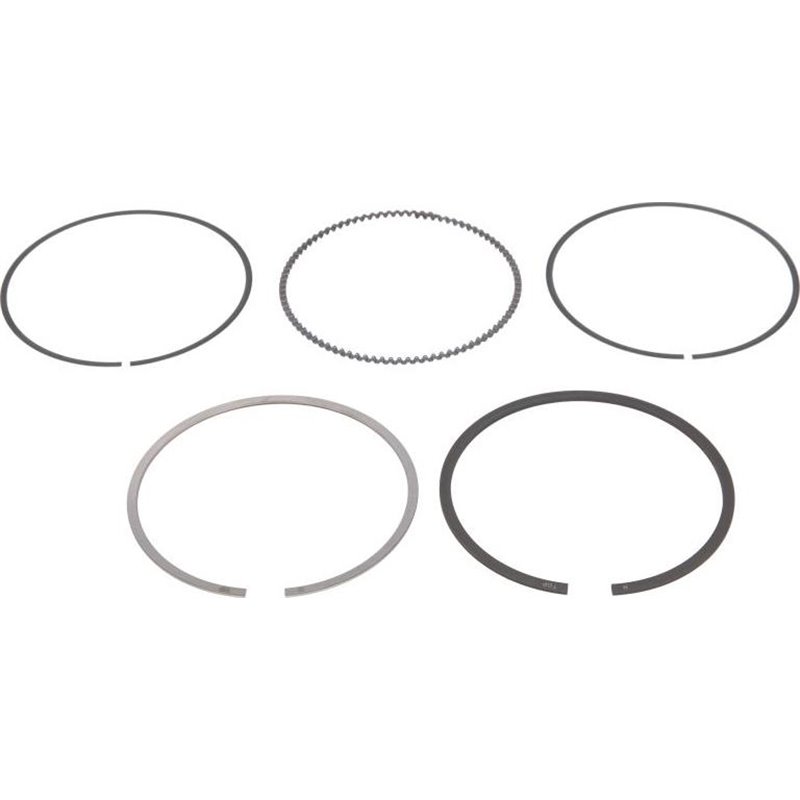 Set segmenti piston - NE-120050004200