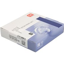 Set segmenti piston - NE-120050004800