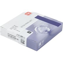 Set segmenti piston - NE-120050005400