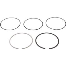 Set segmenti piston - NE-120050006900