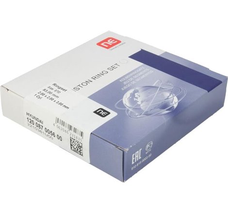 Set segmenti piston - NE-120087005600