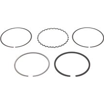 Set segmenti piston - NE-120110000100