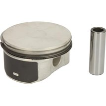 Piston - NE-130035001100