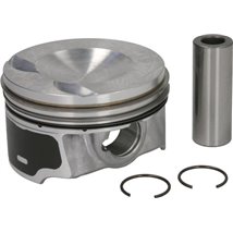 Piston - NE-130050005100