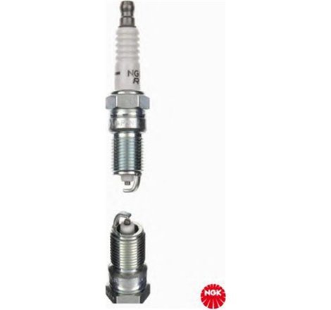 Bujii - NGK-TR55 - NGK-TR55