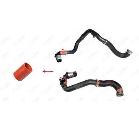 Furtun aer supraalimentare - NIFEA-12760