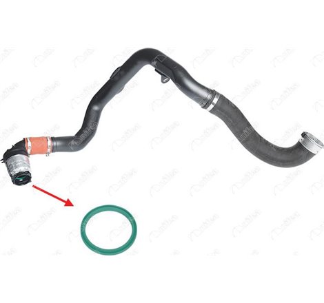 Inel etansare, furtun aer supraalimentare - NIFEA-12763