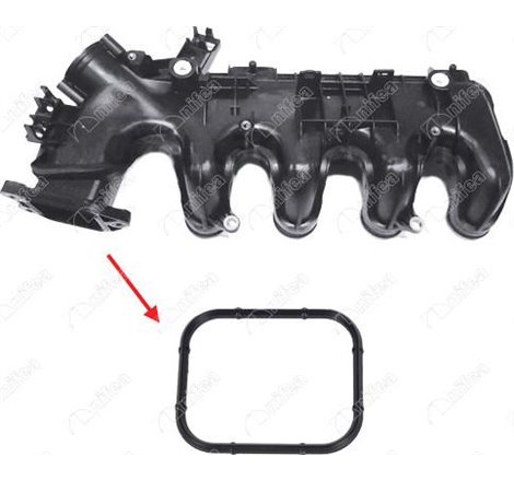 Garnitura, galerie admisie - NIFEA-19936