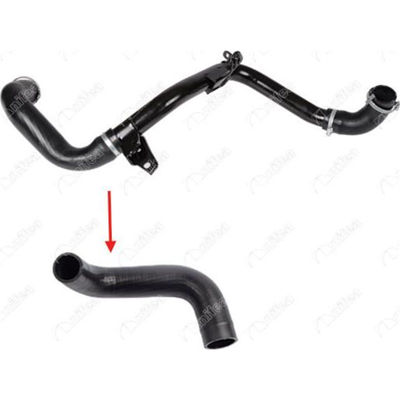 Furtun aer supraalimentare - NIFEA-19948