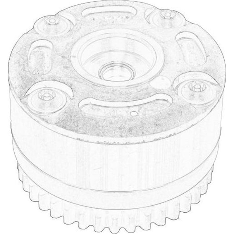 Chit lant de distributie - NISSAN-13025AX011