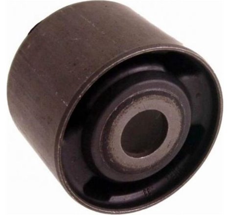 Rulment, diferential - NISSAN-55470EB300